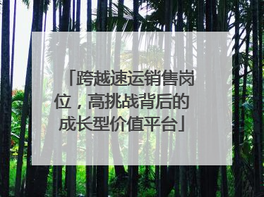 跨越速运销售岗位，高挑战背后的成长型价值平台