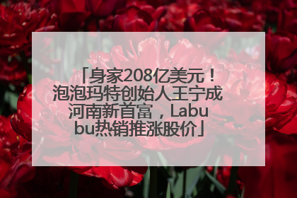 身家208亿美元！泡泡玛特创始人王宁成河南新首富，Labubu热销推涨股价