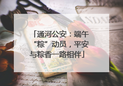 通河公安：端午“粽”动员，平安与粽香一路相伴