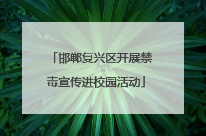 邯郸复兴区开展禁毒宣传进校园活动