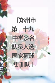 郑州市第二十九中学多名队员入选国家荷球集训队