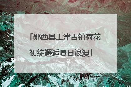 郧西县上津古镇荷花初绽邂逅夏日浪漫