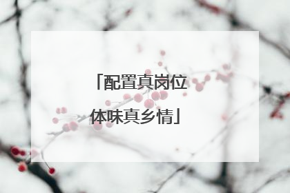 配置真岗位 体味真乡情