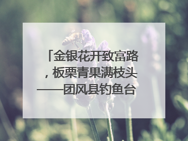 金银花开致富路，板栗青果满枝头——团风县钓鱼台村“山水生金”谱写共富新篇章