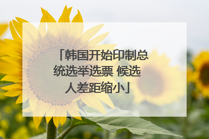 韩国开始印制总统选举选票 候选人差距缩小
