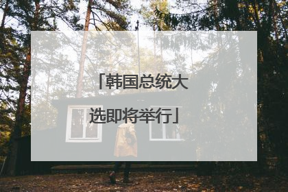 韩国总统大选即将举行