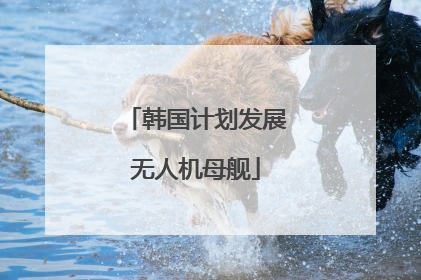 韩国计划发展无人机母舰