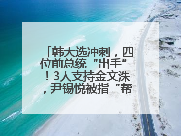 韩大选冲刺，四位前总统“出手”！3人支持金文洙，尹锡悦被指“帮倒忙”