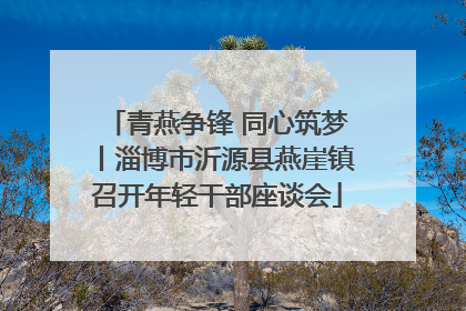 青燕争锋 同心筑梦丨淄博市沂源县燕崖镇召开年轻干部座谈会
