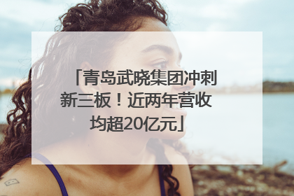 青岛武晓集团冲刺新三板！近两年营收均超20亿元
