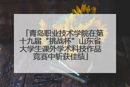 青岛职业技术学院在第十九届“挑战杯”山东省大学生课外学术科技作品竞赛中斩获佳绩
