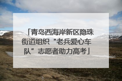 青岛西海岸新区隐珠街道组织“老兵爱心车队”志愿者助力高考