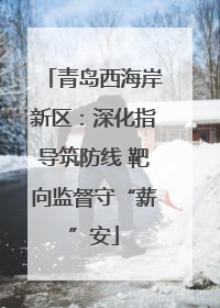 青岛西海岸新区：深化指导筑防线 靶向监督守“薪”安