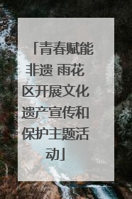 青春赋能非遗 雨花区开展文化遗产宣传和保护主题活动