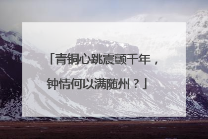 青铜心跳震颤千年，钟情何以满随州？