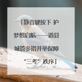 静音键按下 护梦想启航——道县城管多措并举保障“三考”秩序