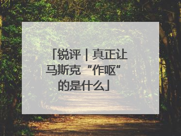 锐评｜真正让马斯克“作呕”的是什么