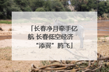 长春净月牵手亿航 长春低空经济“添翼”腾飞