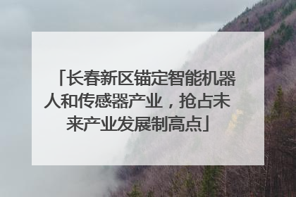 长春新区锚定智能机器人和传感器产业，抢占未来产业发展制高点