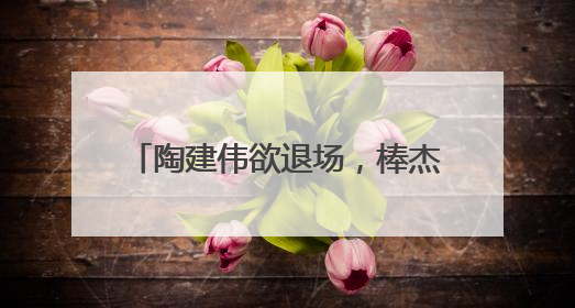 陶建伟欲退场，棒杰股份未来走向何方
