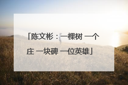 陈文彬：一棵树 一个庄 一块碑 一位英雄