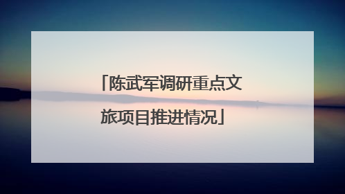 陈武军调研重点文旅项目推进情况