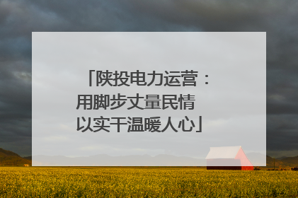 陕投电力运营：用脚步丈量民情 以实干温暖人心