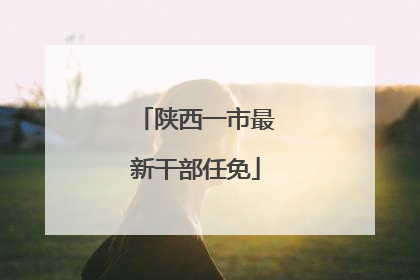 陕西一市最新干部任免