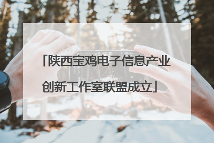 陕西宝鸡电子信息产业创新工作室联盟成立