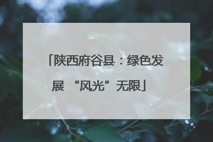 陕西府谷县：绿色发展 “风光”无限