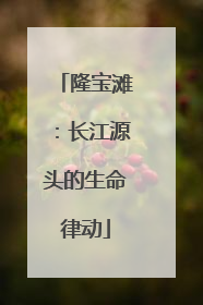 隆宝滩：长江源头的生命律动