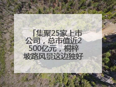 集聚25家上市公司，总市值近2500亿元，桐梓坡路风景这边独好——长沙有条“上市路”