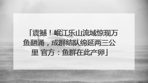 震撼！岷江乐山流域惊现万鱼翻涌，成群结队绵延两三公里 官方：鱼群在此产卵
