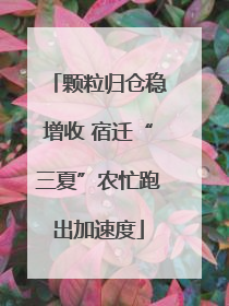 颗粒归仓稳增收 宿迁“三夏”农忙跑出加速度