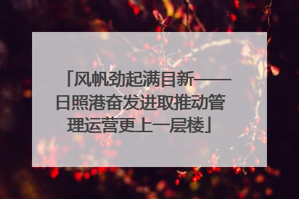风帆劲起满目新——日照港奋发进取推动管理运营更上一层楼