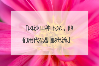 风沙里种下光，他们用代码驯服电流