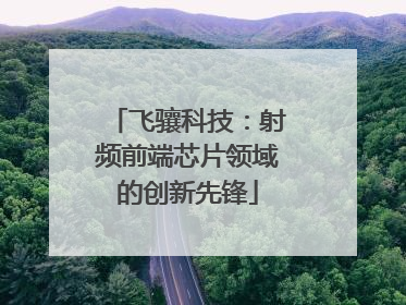 飞骧科技：射频前端芯片领域的创新先锋