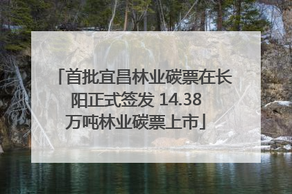 首批宜昌林业碳票在长阳正式签发 14.38万吨林业碳票上市