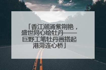 香江潮涌紫荆艳，盛世同心绘牡丹——巨野工笔牡丹画搭起港菏连心桥