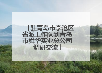 驻青岛市李沧区省派工作队到青岛市舜华实业总公司调研交流