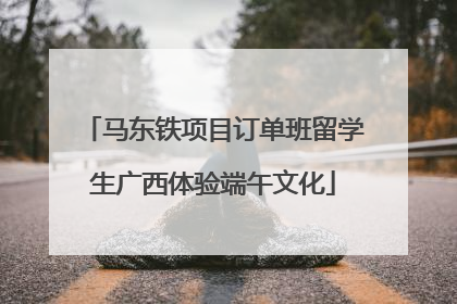 马东铁项目订单班留学生广西体验端午文化