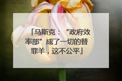 马斯克：“政府效率部”成了一切的替罪羊，这不公平