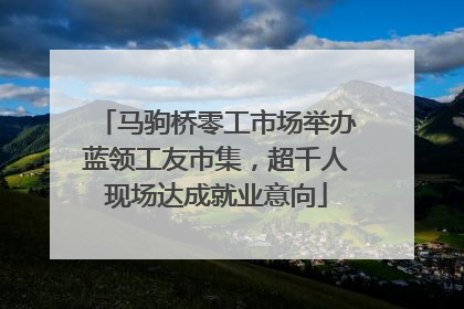 马驹桥零工市场举办蓝领工友市集，超千人现场达成就业意向