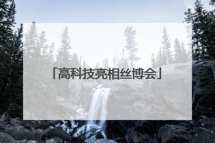 高科技亮相丝博会