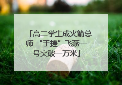 高二学生成火箭总师 “手搓”飞燕一号突破一万米
