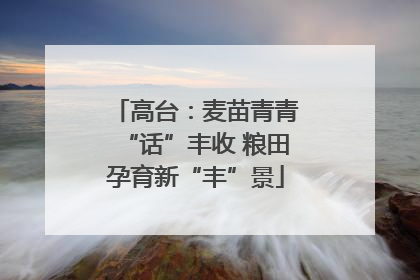 高台：麦苗青青“话”丰收 粮田孕育新“丰”景