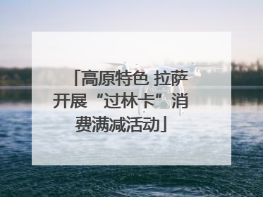 高原特色 拉萨开展“过林卡”消费满减活动