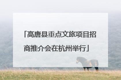 高唐县重点文旅项目招商推介会在杭州举行