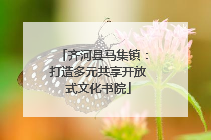 齐河县马集镇：打造多元共享开放式文化书院