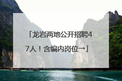 龙岩两地公开招聘47人！含编内岗位→